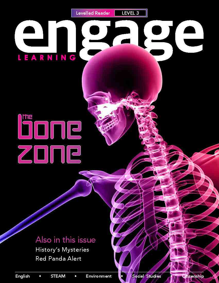 Level 3 Reader The Bone Zone And Other Stories V2i6l3 Engage Learning